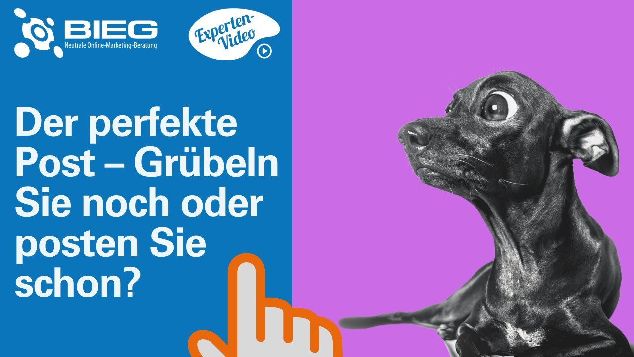 YouTube:Der perfekte Post - Grübeln Sie noch oder Posten Sie schon?